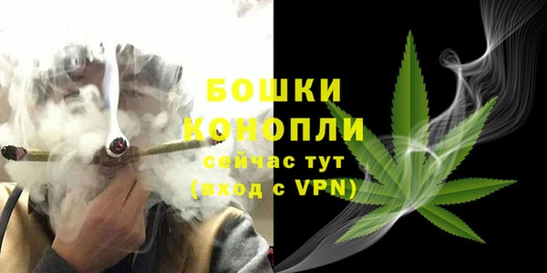 дмт Магас