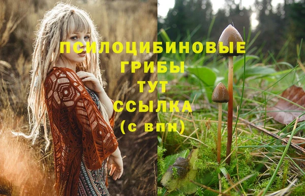 дмт Магас