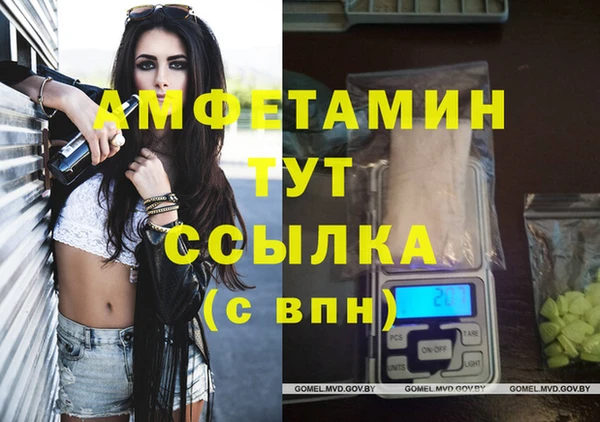 дмт Магас
