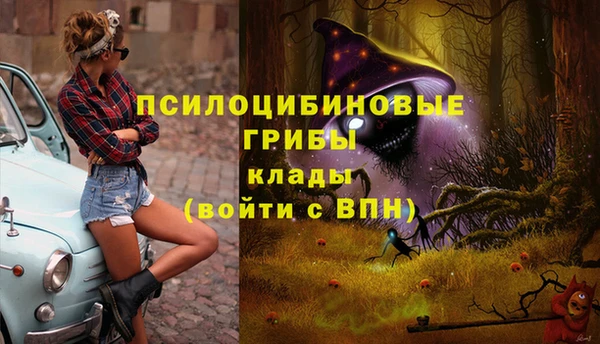 Альфа ПВП Магадан
