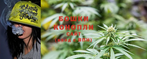 дмт Магас