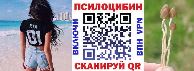 Псилоцибиновые грибы GOLDEN TEACHER  цены   Дно 