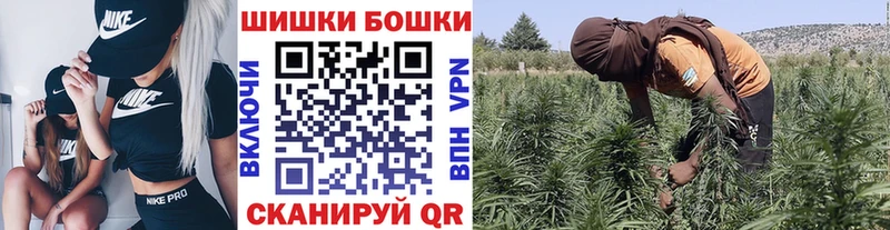 Конопля гибрид Дно